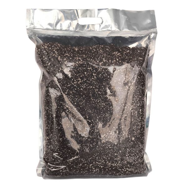 خاک متالایز (جشنواره ای)